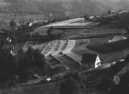 Krajina u Sázavy
