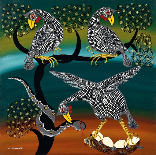 Perličky brání své hnízdo