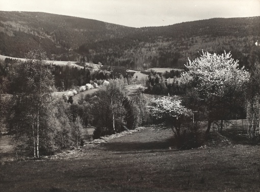 Jizerské hory