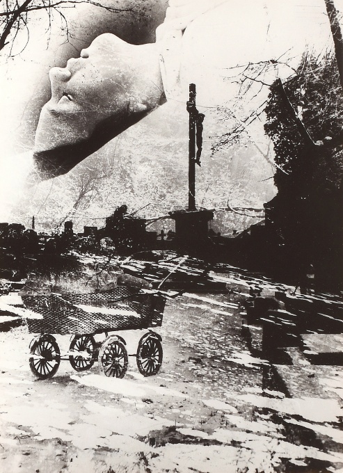 Rodička
