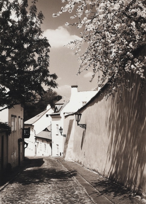 Ulička