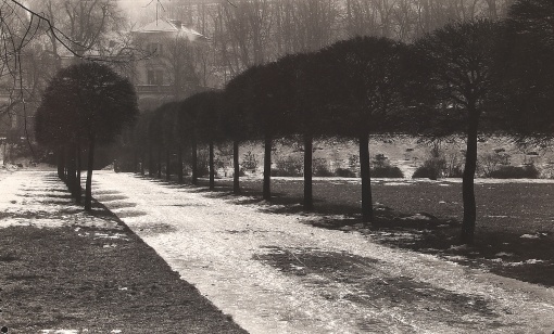 Stromořadí