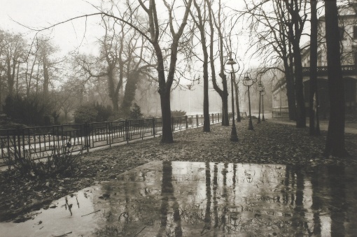 Park