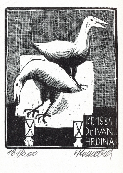 Dva havrani