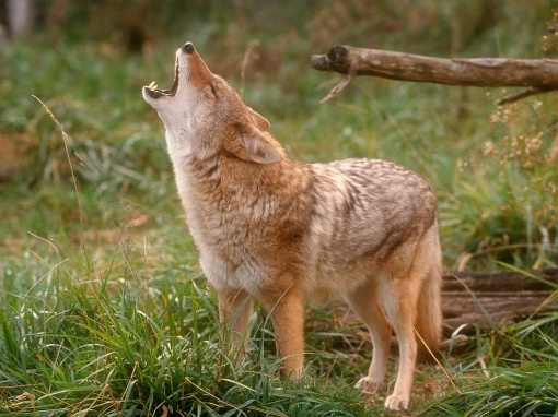 Test 4