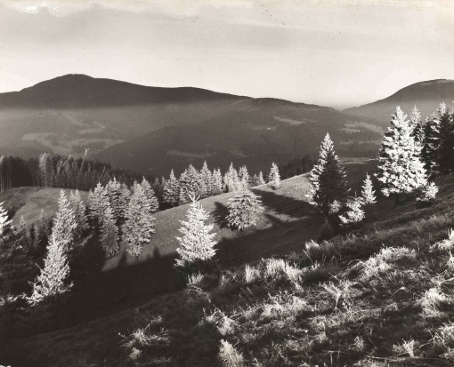 Lysá hora	