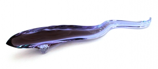 Úhoř