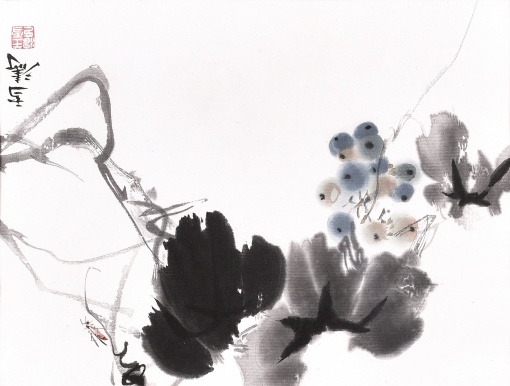 Větev vína s kobylkou