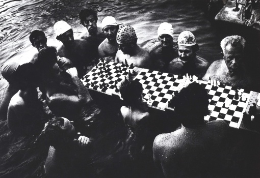 Vodní šachisté