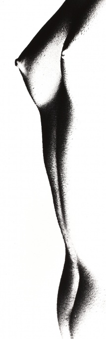 Torso
