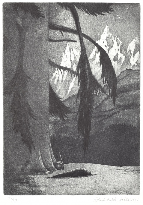 Zakuklenec