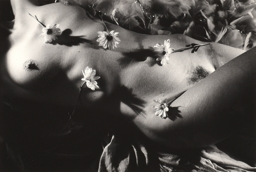 Dream