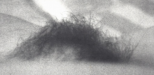 Vlna II.