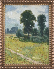 Rozkvetlá luka