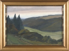 Pěšina k lesu