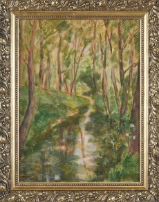 Bystřina v lese