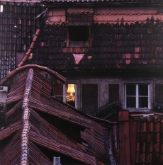 Malostranské střechy, Hradní rampa