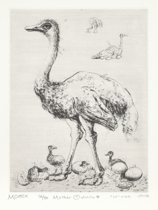 Mother Ostrich