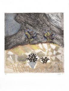 Terre á cactées