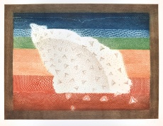 Bandeira da Terra Mágica