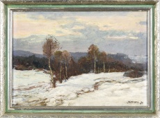 Zasněžená krajina