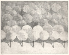 Stromovka II.
