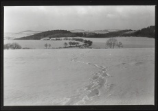Z cyklu Čechy - krajina
