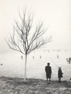 On a Frozen Lake