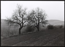 Z cyklu Čechy - krajina