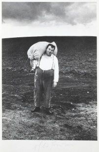 Na bramborách