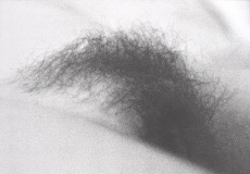 Vlna I.