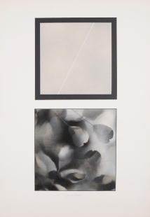 Geometrie - příroda