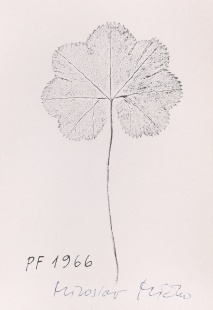 List