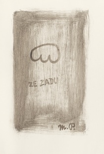 Ze zadu