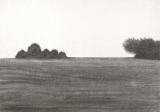 Černá krajina