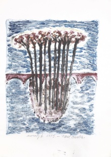 Střelecký ostrov