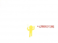 420608213285