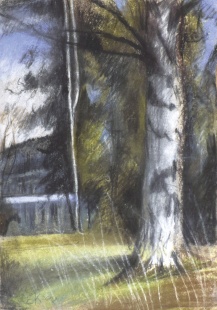 Bříza (Liberecká přehrada)