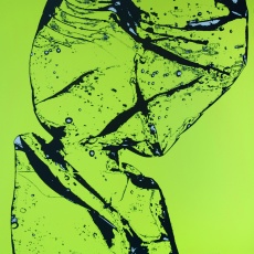 Proměna
