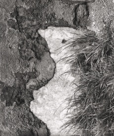 Křik