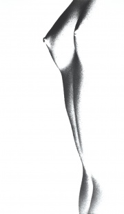 Torso