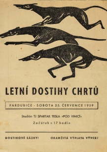 Program Letní dostihy chrtů