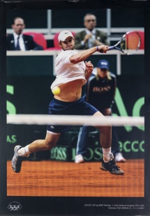 Andy Rodick, Davis Cup Ostrava
