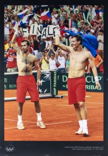 R. Štěpánek, T. Berdych, SF Davis Cup