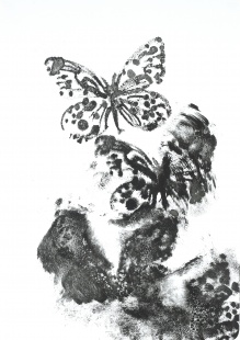 Hra motýlů