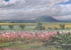 Krajina