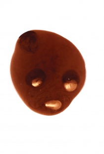 Hlava