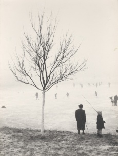 On a frozen lake