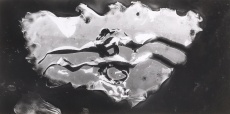 Struktura II.