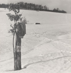 Kaplička, Vrchlabí